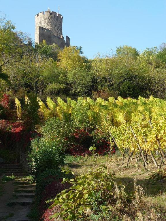 Hotel Les Remparts Kaysersberg-Vignoble Zewnętrze zdjęcie